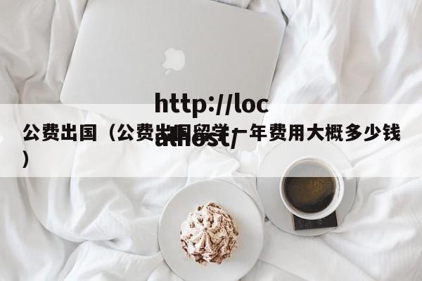 公费出国（公费出国留学一年费用大概多少钱）